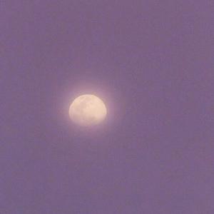 裸体美女网站%100
